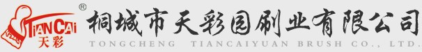 桐城市天彩園刷業有限公司